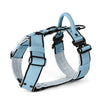 Easy Walk Extreme Black Edition Baby Blue - Pettorina con fibbia a sgancio rapido