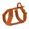 Easy Walk Extreme Gold Buckle Burnt Orange - Harness with quick release buckle