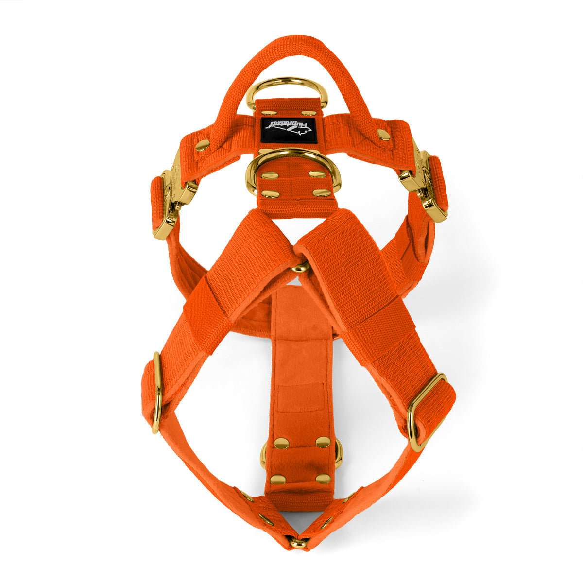 Easy Walk Extreme Gold Buckle Plum - Imbracatura con fibbia a sgancio rapido