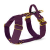 Easy Walk Extreme Gold Buckle Plum - Harness with quick buckle
