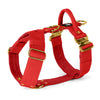 Easy Walk Extreme Gold Buckle Plum - Harness with quick buckle