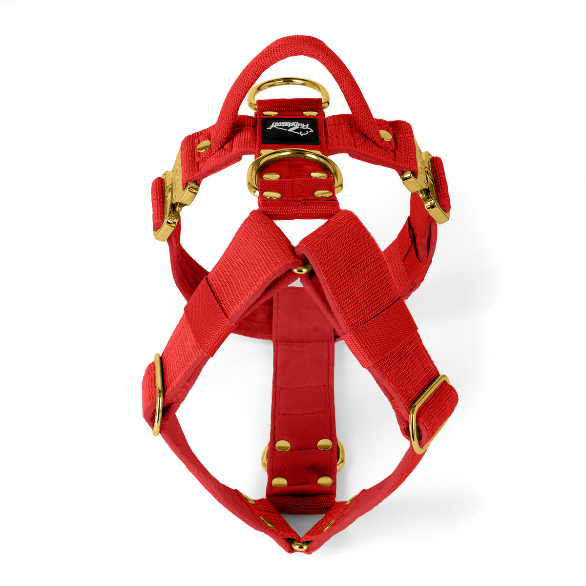 Easy Walk Extreme Gold Buckle Plum - Imbracatura con fibbia a sgancio rapido