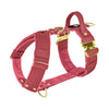 Easy Walk Extreme Gold Buckle Raspberry Red - Harness with quick release buckle