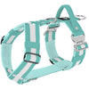 Easy Walk Extreme Safe Mint - Harness with reflector & quick buckle