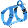 Easy Walk Extreme Ocean Blue - Harness with quick buckle