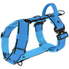 Easy Walk Extreme Black Edition Ocean Blue - Harness with quick buckle