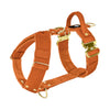 Easy Walk Extreme Gold Buckle Burnt Orange - Harness with quick release buckle