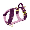 Easy Walk Extreme Gold Buckle Plum - Harness with quick buckle