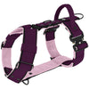 Easy Walk Extreme Black Edition Plum - Harness with quick buckle