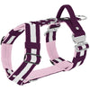 Easy Walk Extreme Safe Plum - Harness with reflector & quick buckle