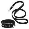 Active Set Black - Active collar & leash