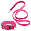 Active Set Pink - Active collar & leash